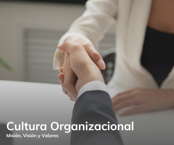 Cultura Organizacional